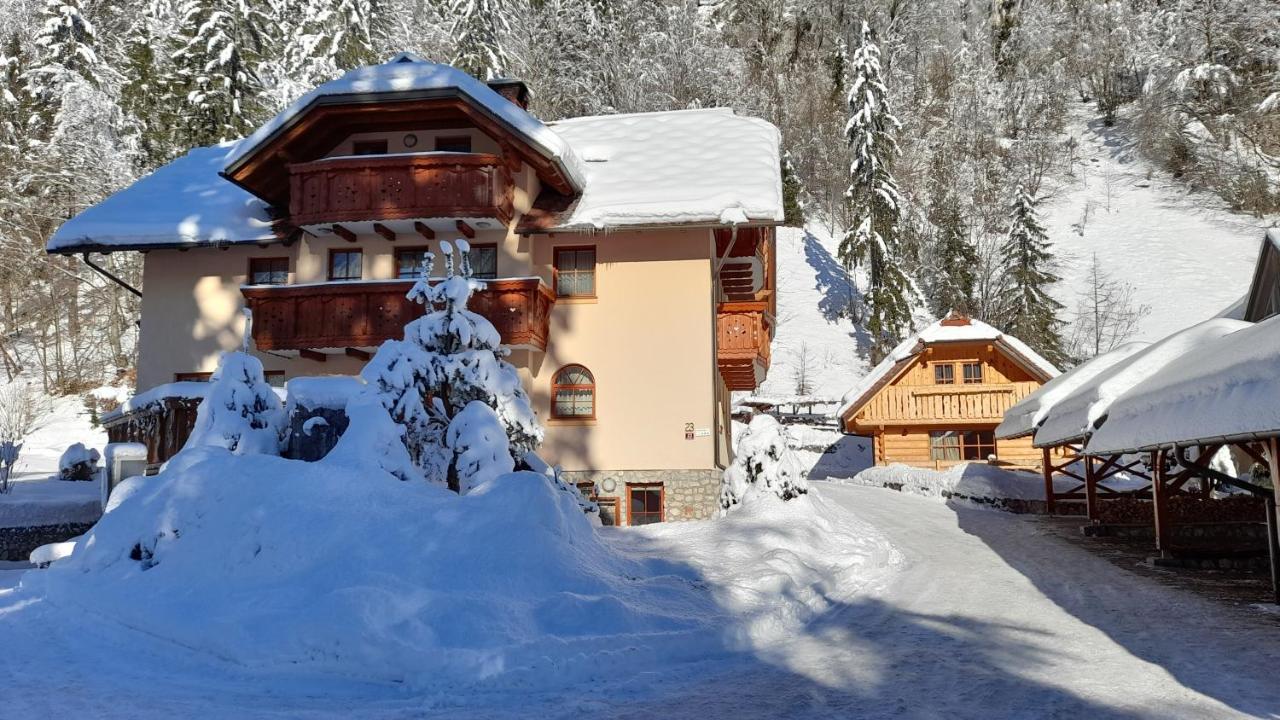 Apartma in Bungalov Jezerci Gozd Martuljek Exteriér fotografie